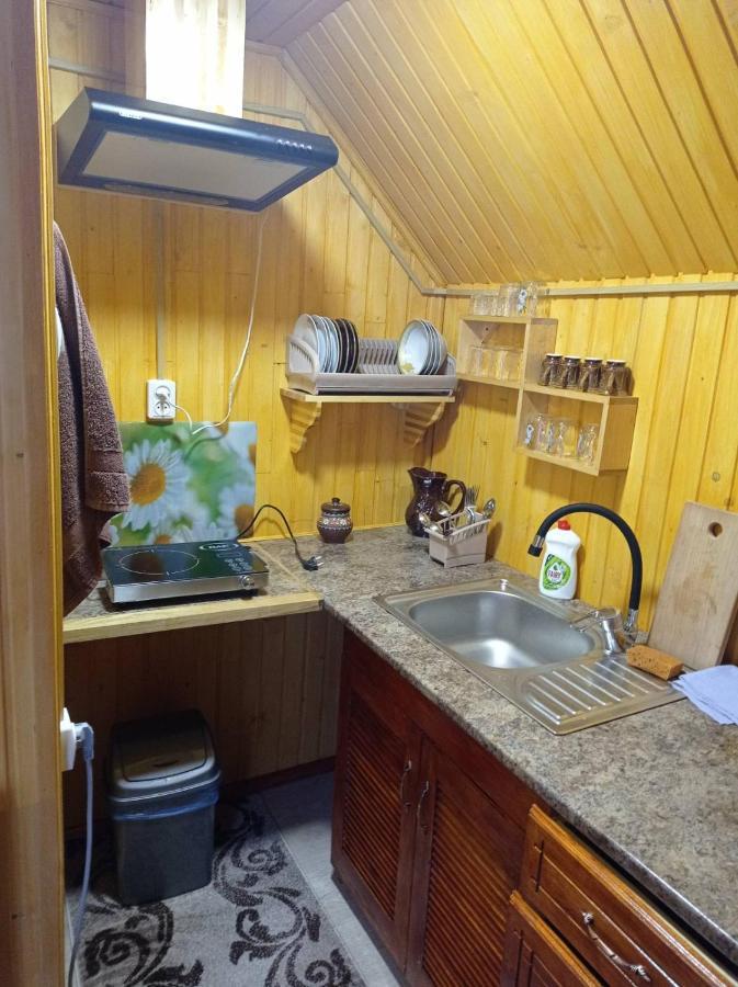Romashka Guest House Yablunytsya Exterior photo